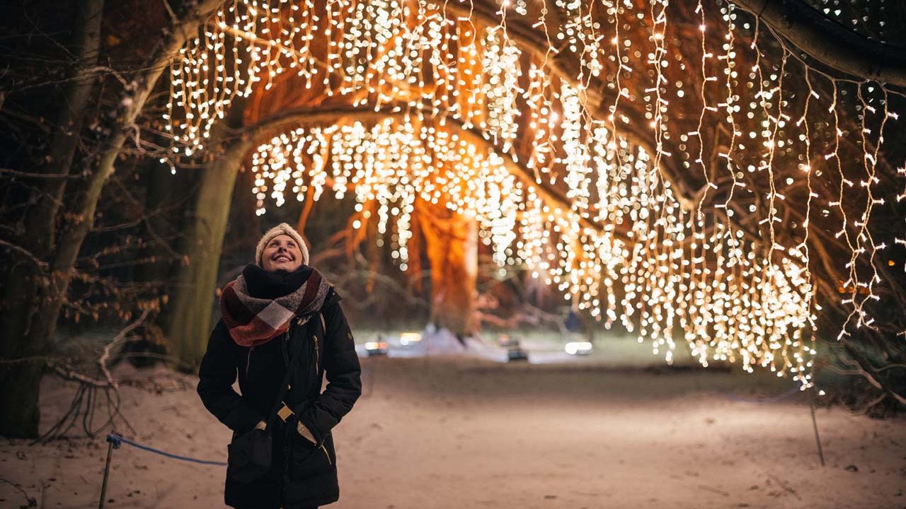 Christmas-Garden-Haengebuche-Schnee